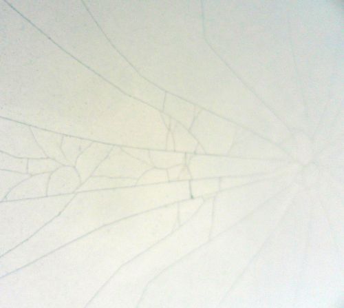 This is picture 1