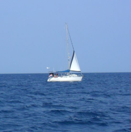 This is picture 1
