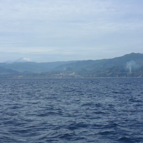 This is picture 1