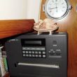 De replica van de Sleeping Lady op onze oude weerkaartenprinter