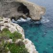 Gele bloempjes en de grot onder Dragonara Point. In de verte links ligt Gozo