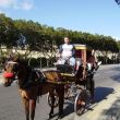 Een koetsje brengt ons terug van Valletta naar Sliema