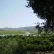 Butrint. Gezicht op de moerasvlakte waar ooit een lang aquaduct liep naar de stad