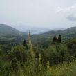 Landschap in Levkas, zicht op Skorpios en Meganisi. Gele plant is Verbascum Undulatum?