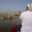 Lisdodden onderweg in de kajak