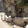 Kaunos. Scharminkelijke schapen in een oud Romeins badhuis
