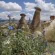 Rotspilaren (hoodoo´s) vlakbij Ürgüp