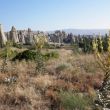 Rotsfallussen in Love Valley, Cappadocië