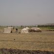 Bedouïenententen in de vlakte van Al Ghab