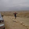 De Zin vallei, een droogstaande wadi in de Negev woestijn