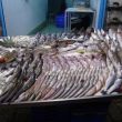 Uitstalling van verse vis in de souq van Akko