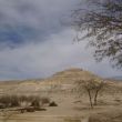 De ruïnes van de oude, Nabatese stad Avdat in de Negev-woestijn