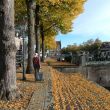 10 oktober 2013. Herfst in Gorcum