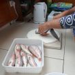 ....en vervolgens schoonmaken (Rode Poon)