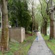 Ochtendlijke wallenloop in de regen over westelijke stadswallen