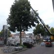 Opbouw van het podium voor het Lingehavenconcert vanaf de Kriekenmarkt