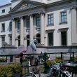 Dordreht. Een reiger bij het stadhuis.