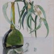 Floris Verster, Eucalyptus, 1896, waskrijttekening.