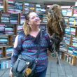 Gorcum 06-08-2016. In de Kelenstraat staat een vrouw met een levende uil voor een boekenkraam.