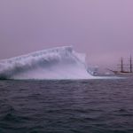 Tussen de growlers door varen we naar de landingsplaats op Heroïna eiland