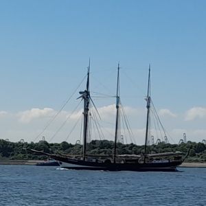 De driemaster 'Oosterschelde' loopt binnen bij Hoek van Holland