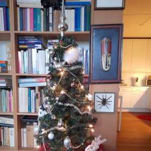 Kerstboom 2