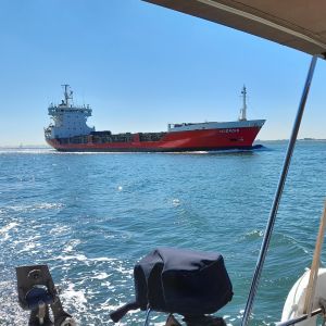 Sardijngeul voor Vlissingen. Cargoschip Hjördis loopt ons op.