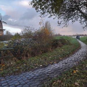 Mogelijke locatie van een nieuw gedicht in de Poëzieroute (naast het hek)