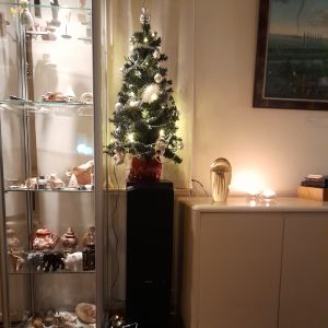 23 december 2023. De cadeautjes onder onze kerstboom.