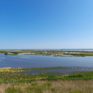 Marker Wadden.