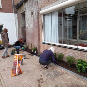 28 maart 2025. De aanleg van het geveltuintje. Vlnr. buurvrouwen Joke en Marijke. Dan Anna.