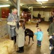 Kinderboerderij in het Van Andelpark, Gorcum