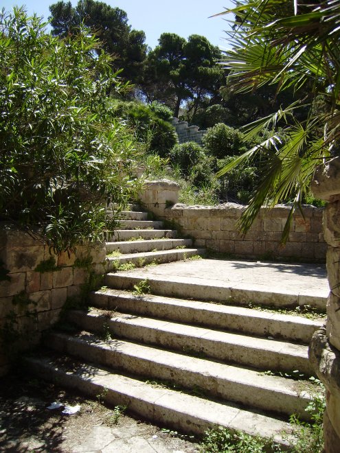 Ontdekking: het doet denken aan een overwoekerde tempel uit de tijd van de Inca´s. De Mussolini-trappen!