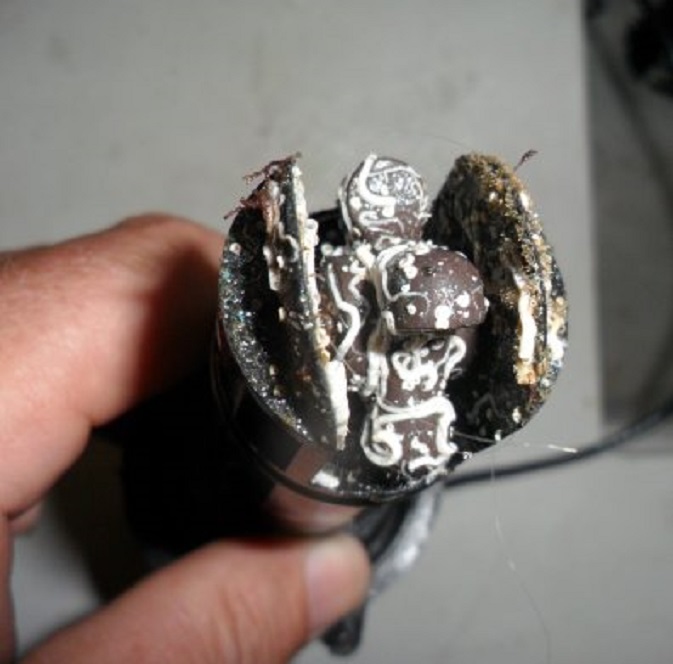 Aangroei van kokerwormpjes op het logwieltje