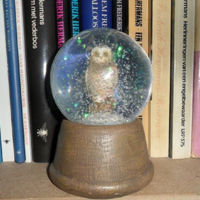 De enige sneeuw valt vandaag bij ons thuis in de sneeuwbol in mijn boekenkast