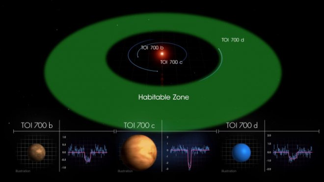 De drie exoplaneten bij de ster TOI700. De buitenste van de drie ligt nét in de bewoonbare zône. Daaronder de dipjes van de drie planeetpassages voor de ster langs (bron: NASA)