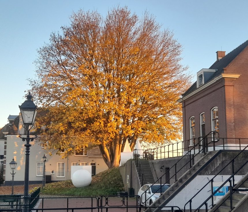 Gorinchem (361)