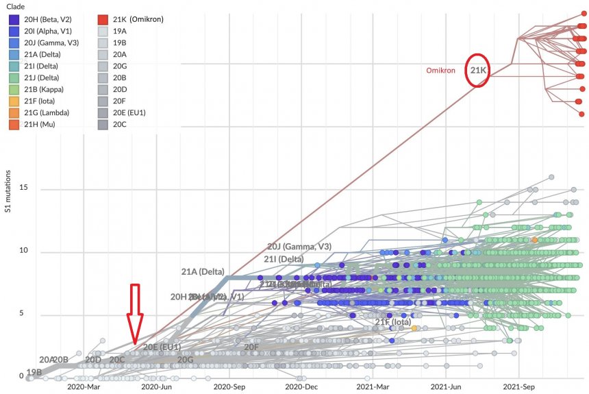 De omikron-variant (21K) ontstond al 1,5 jaar geleden. Zie rode pijl (Bron: https://nextstrain.org/ncov/gisaid/africa?l=scatter&scatterY=S1_mutations)