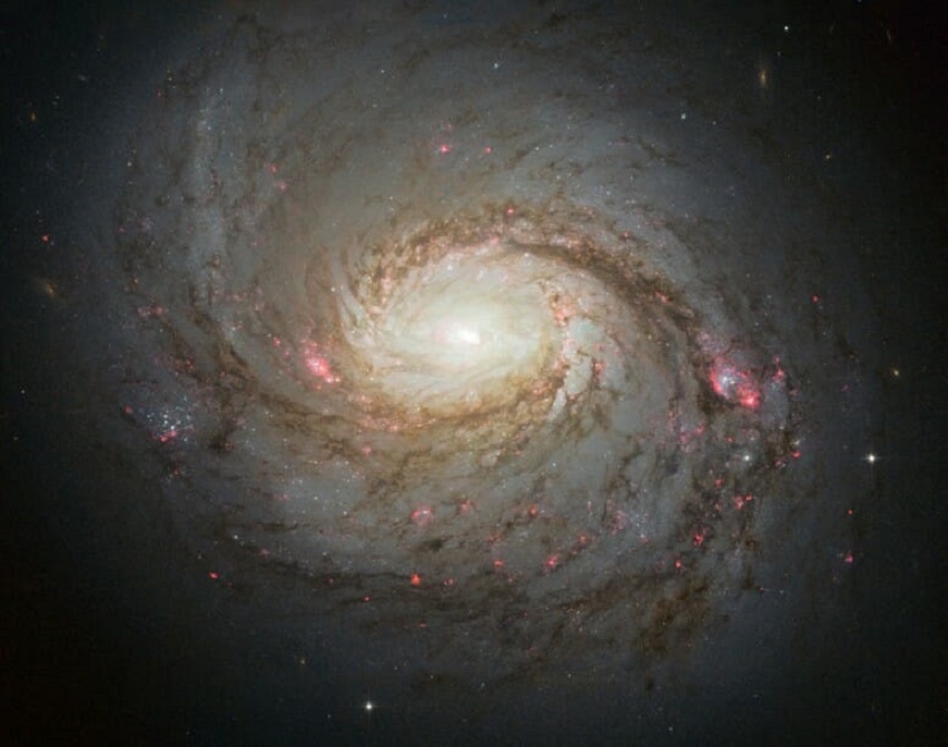 Sterrenstelsel NGC 1068, alias Messier77. In de kern zit een onzichtbaar zwart gat. (Credit NASA / ESA / A. VAN DER HOEVEN)