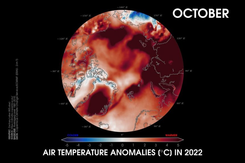De arctische amplificatie in beeld. Afgelopen oktober waren de temperaturen in Siberië, Groenland en de rest van het noordpoolgebeid extreem hoog. (Data: CopernicusECMWF ERA5 reanalysis)